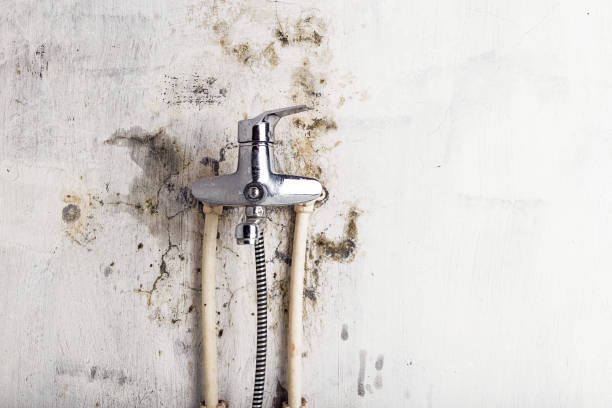 Best Mold Remediation for Specific Building Types in Fort Dick, CA