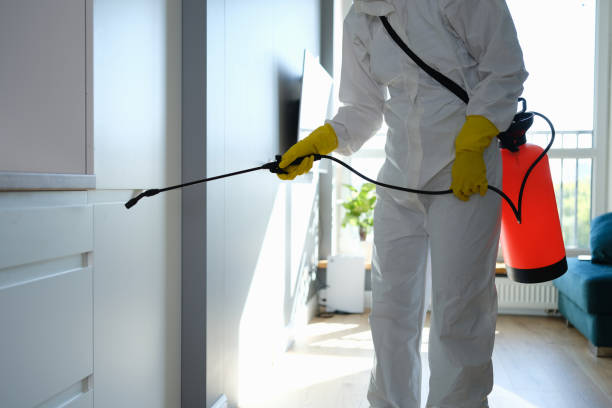 Best Residential Mold Remediation in Fort Dick, CA