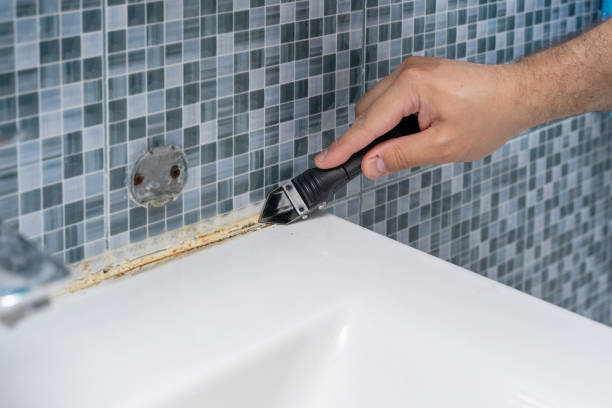 Best White Mold Remediation in Fort Dick, CA